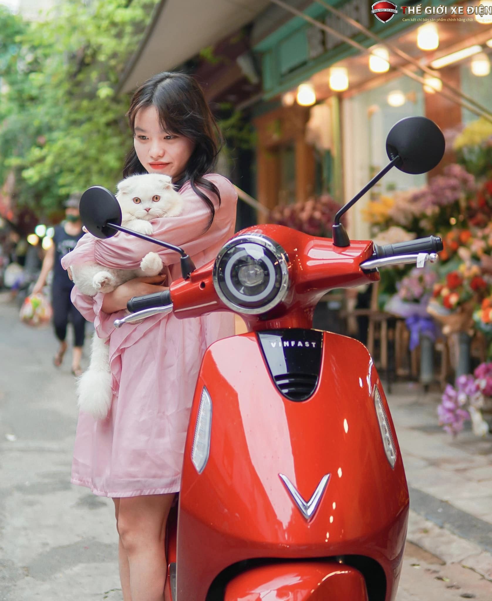 Giá VinFast Evo Lite Neo: Sắm ngay xe điện "ngon", tiết kiệm tối đa