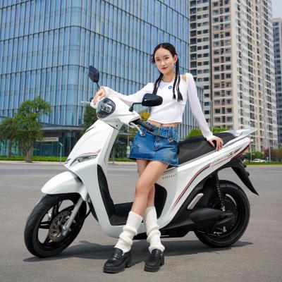 Vingroup "Mở Đường" Xe Điện Tại Hà Nội: Đề Xuất Miễn 100% Phí Trước Bạ