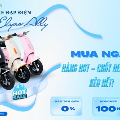 VC Ally Elyas chính hãng: Làm sao phân biệt xe thật – xe giả trên thị trường?